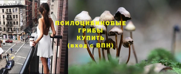 герыч Гусь-Хрустальный