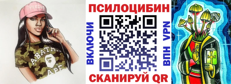 Галлюциногенные грибы Psilocybine cubensis  Купить закладки  Новый Оскол 